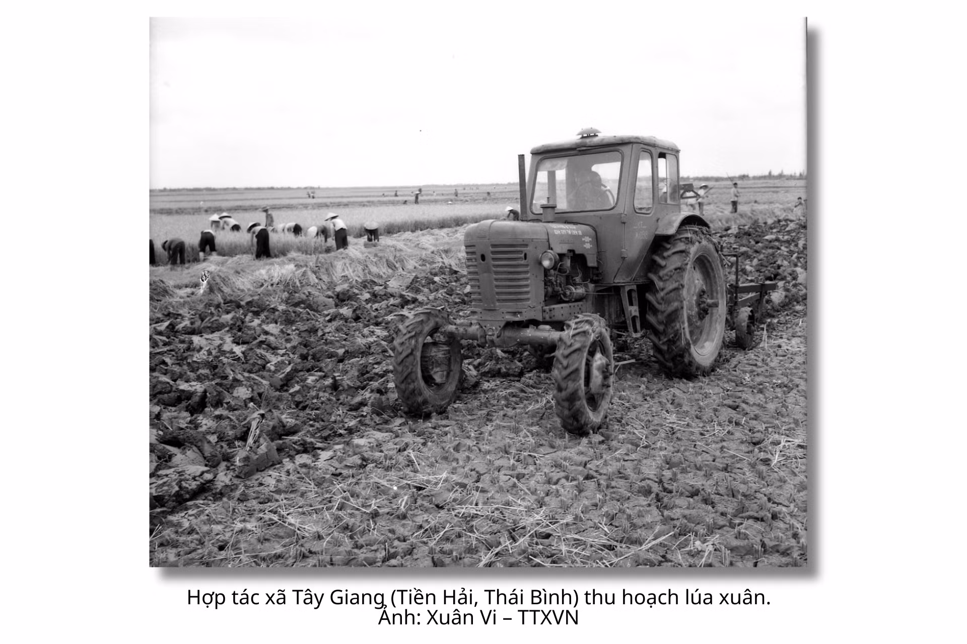 quoc-hoi-khoa-ii-18.png