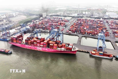 Hoạt động tại Cảng Quốc tế Tân Cảng-Cái Mép ở phường Tân Phước, Thị xã Phú Mỹ, tỉnh Bà Rịa-Vũng Tàu. (Ảnh: Vũ Sinh/TTXVN)