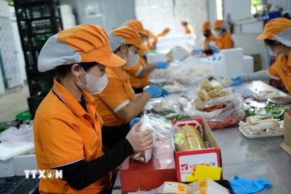 Kinh tế tư nhân là lực lượng tiên phong để thúc đẩy tăng trưởng, tạo việc làm, nâng cao năng suất. (Ảnh: Nguyễn Dũng/TTXVN)