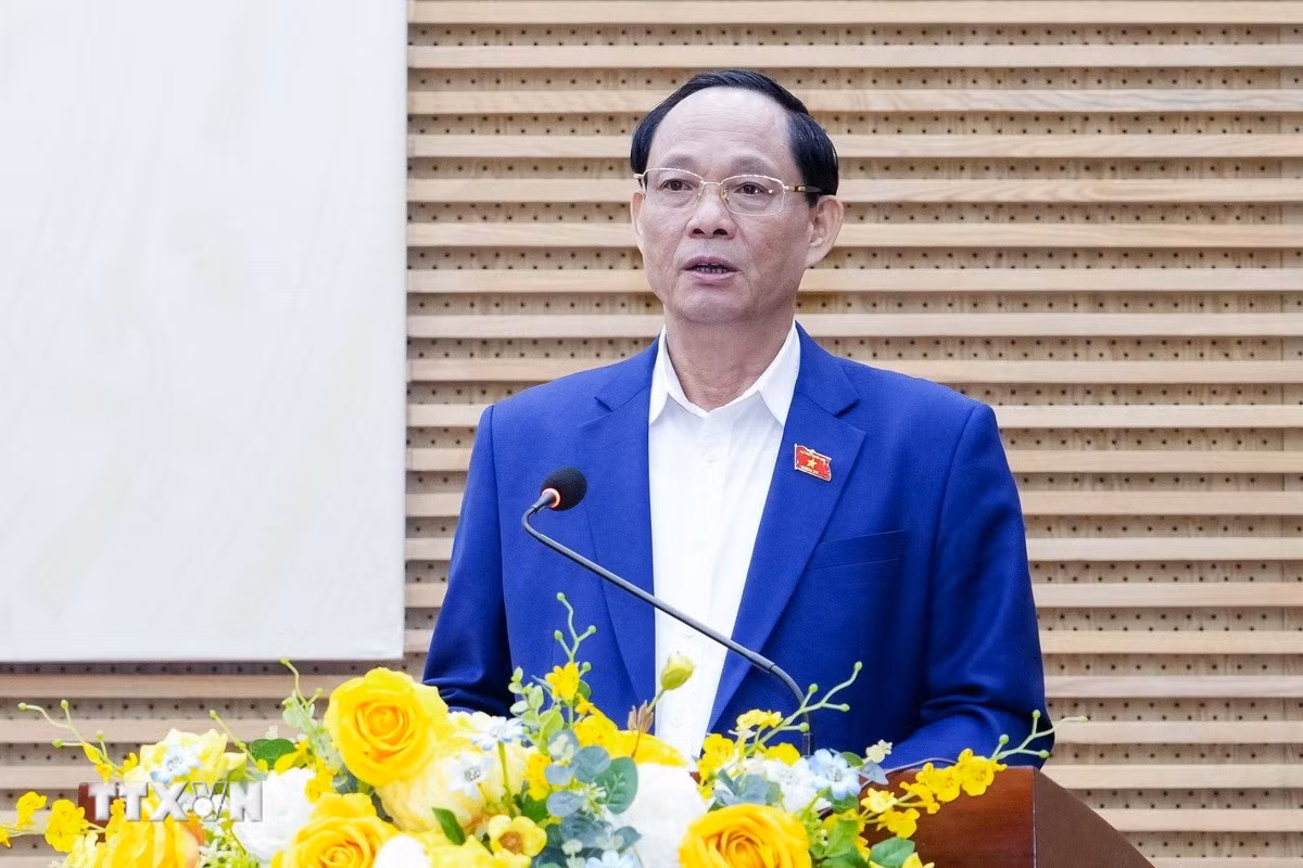 ttxvn-bau-cu-tai-nghe-an-8527038.jpg