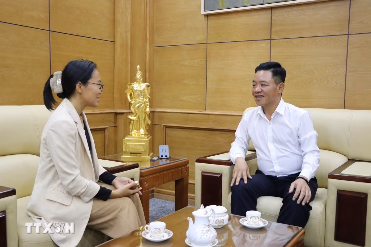 ttxvn-dang-vien-hai-phong-gop-y-du-thao-van-kien-dai-hoi-dang2.jpg