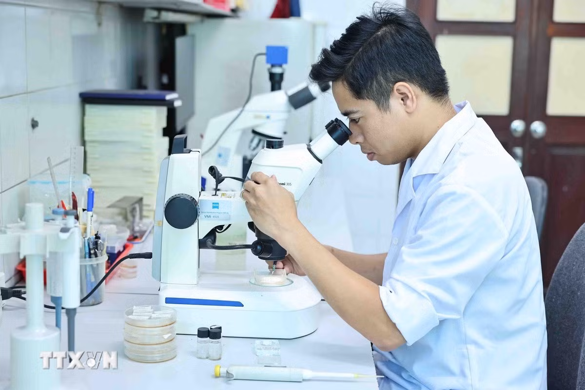 ttxvn-tuoi-tre-vien-han-lam-khoa-hoc-va-cong-nghe-viet-nam.jpg