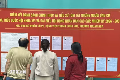 Người nhà và bệnh nhân tìm hiểu thông tin bầu cử tại Bệnh viện Trung ương Huế. (Ảnh: Mai Trang/TTXVN)