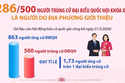 286/500 người trúng cử Đại biểu Quốc hội là người do địa phương giới thiệu