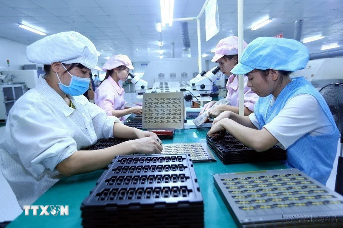 Công nhân tại một doanh nghiệp. (Ảnh: Danh Lam/TTXVN)