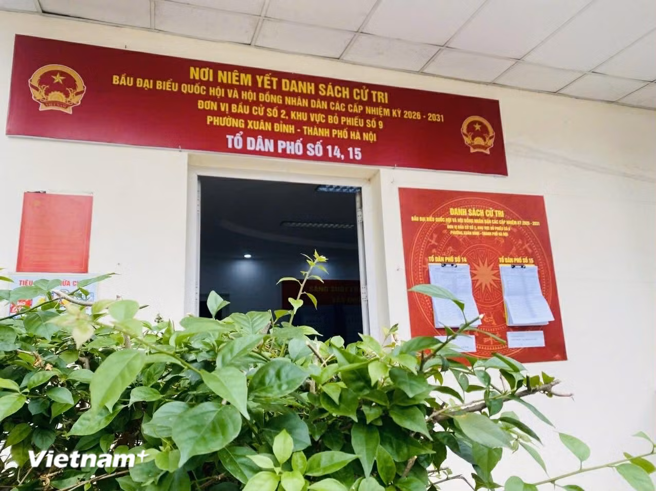 vnp-bau-cu-3.jpg
