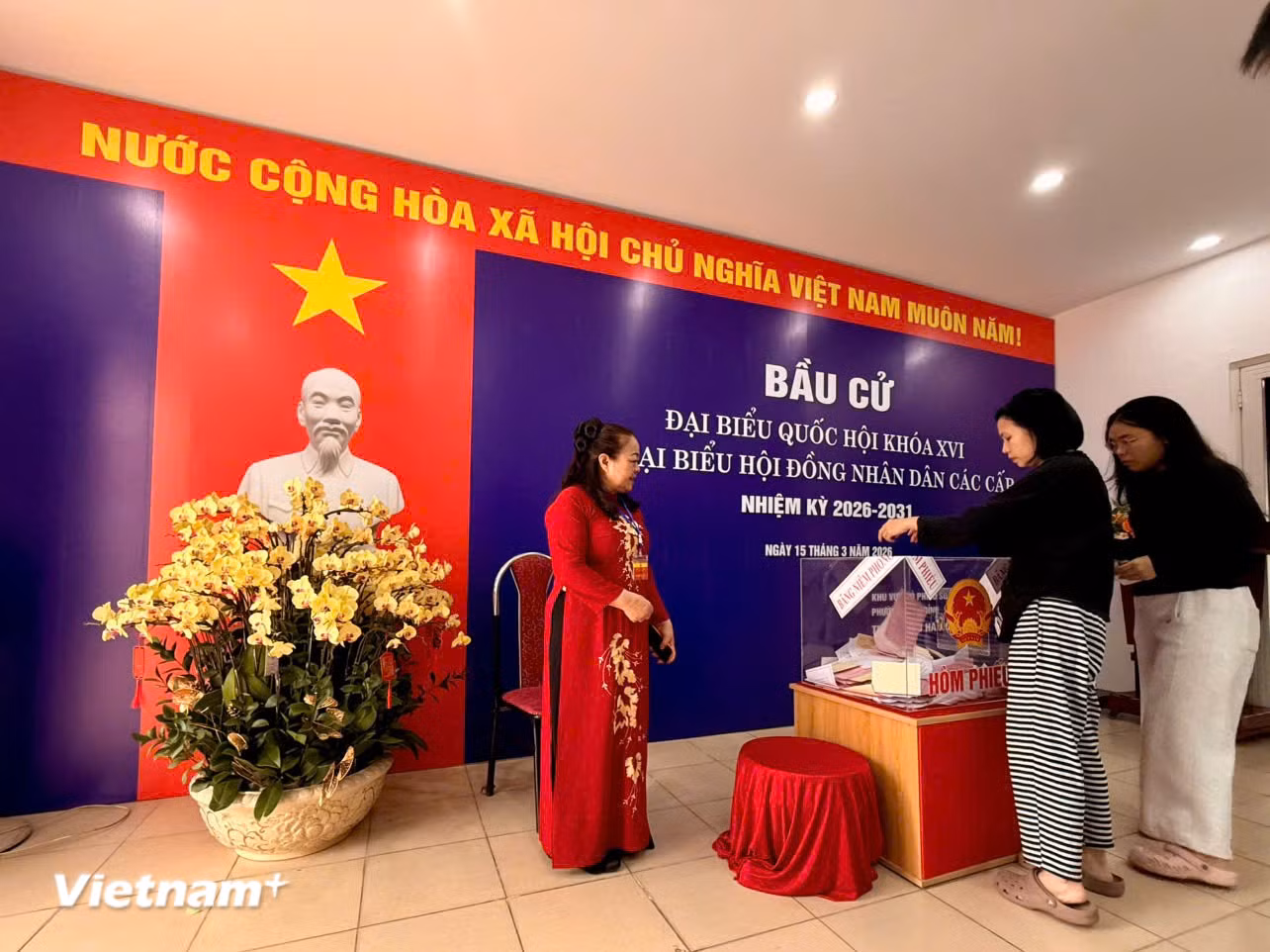 vnp-bau-cu1.jpg