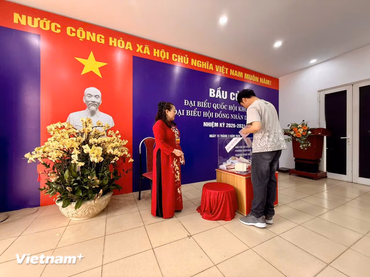 vnp-bau-cu2.jpg
