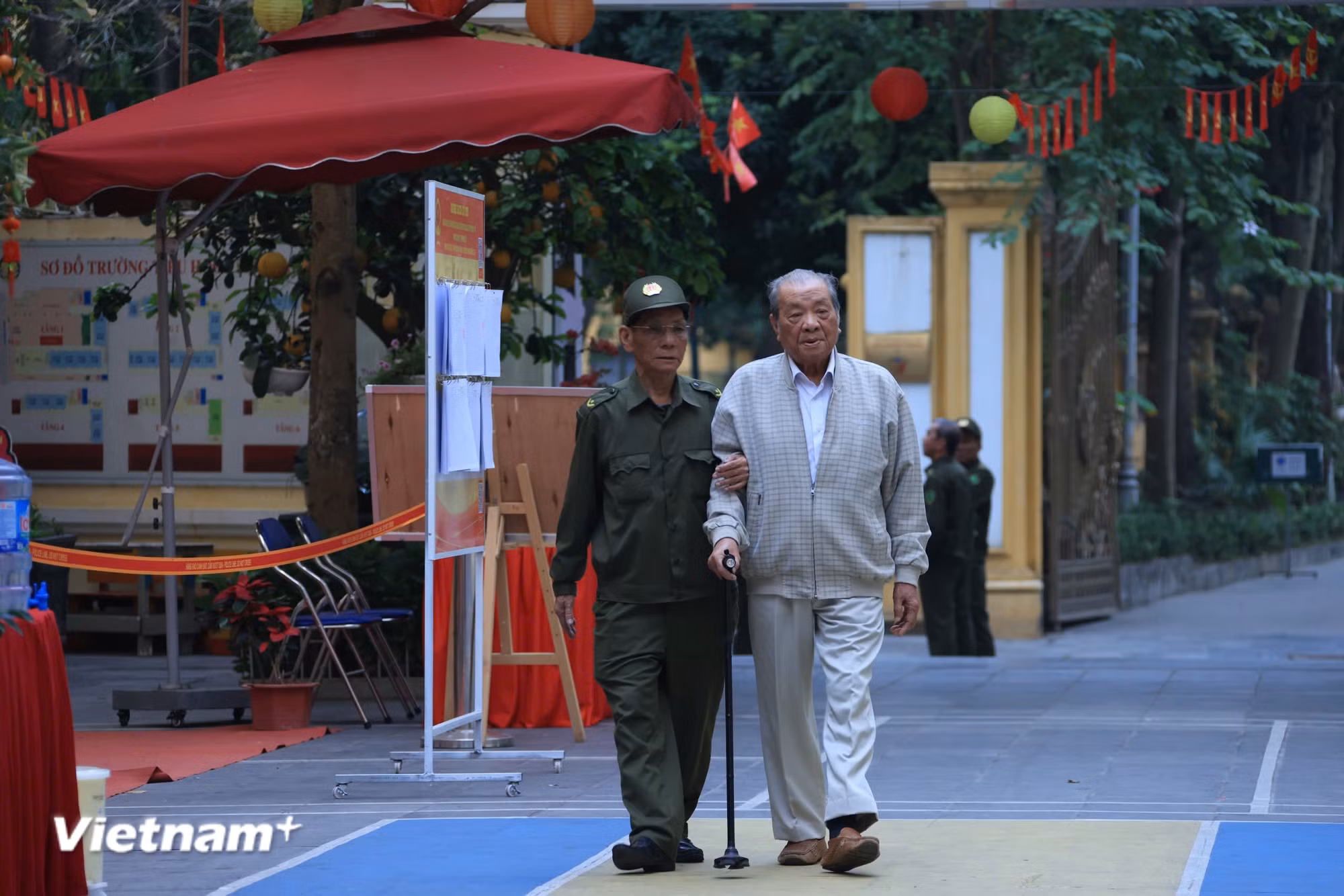 vnp-ong-thuc-1.jpg