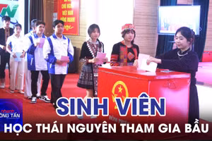 Sinh viên Đại học Thái Nguyên tham gia bầu cử 