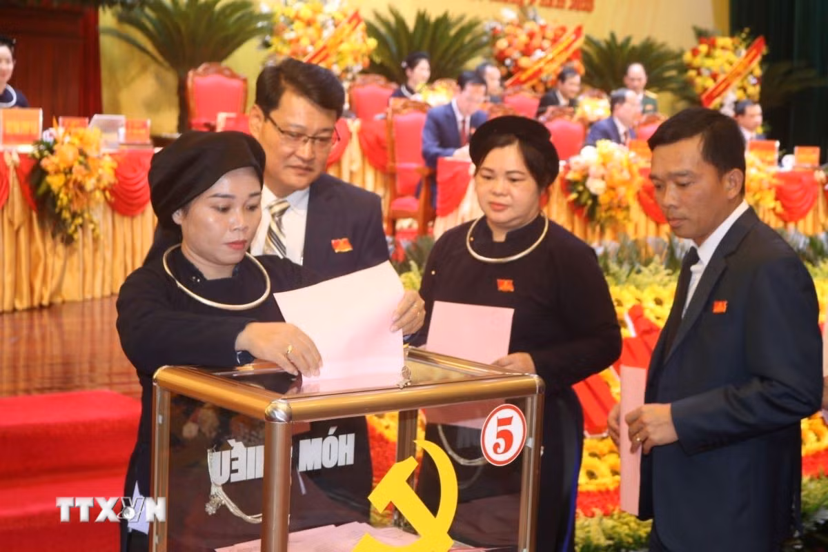 ttxvn-khai-mac-dai-hoi-dai-bieu-dang-bo-tinh-cao-bang-nhiem-ky-2025-2030-17-3.jpg