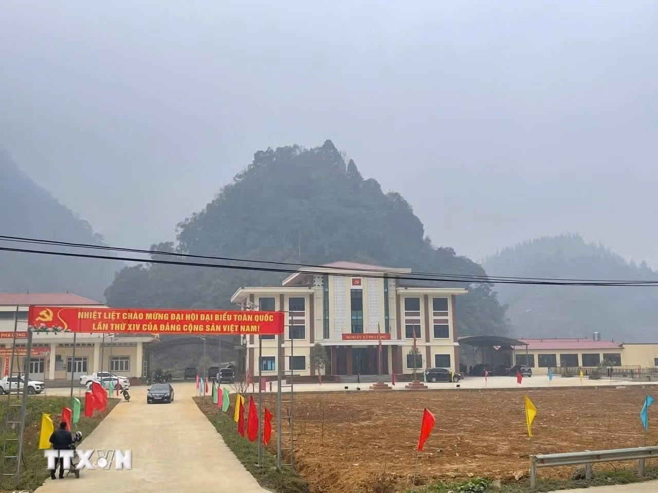 ttxvn-da-nang-tuoi-tham-co-hoa-chao-mung-dai-hoi-dai-bieu-toan-quoc-lan-thu-xiv-cua-dang-22-3.jpg