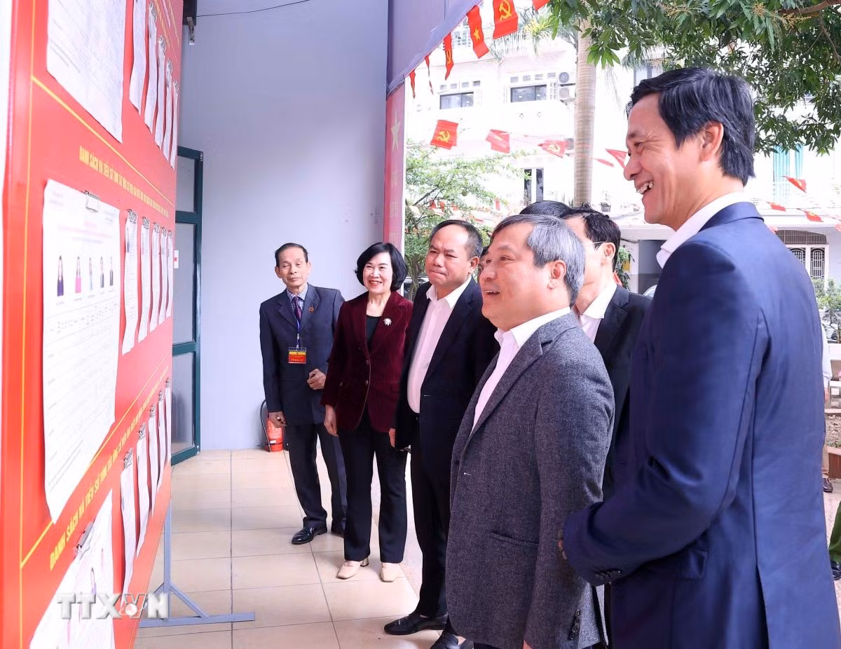 ttxvn-bau-cu-quoc-hoi-va-hdnd-doan-kiem-tra-so-02-cua-ban-thuong-vu-thanh-uy-ha-noi-kiem-tra-cong-tac-bau-cu-11.jpg