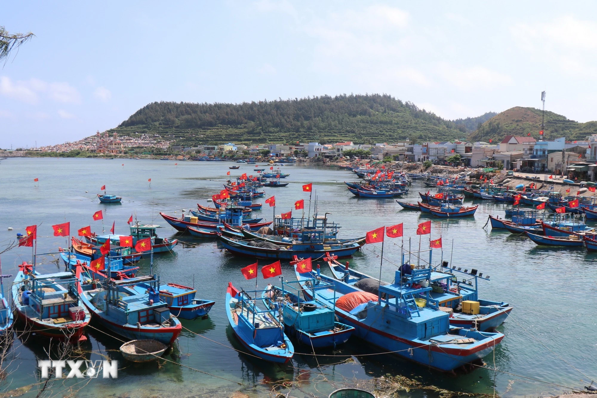 Cờ Tổ quốc trên nhiều tàu cá ở đặc khu Lý Sơn (Quảng Ngãi), hướng về Ngày bầu cử. (Ảnh: Phạm Cường/TTXVN)