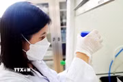 Tiến sỹ Trần Thị Kim Chi nghiên cứu tại phòng thí nghiệm của Viện Khoa học vật liệu. (Ảnh: Diệu Thúy/TTXVN)