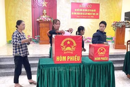 Quảng Trị: Cử tri đi bỏ phiếu với tỷ lệ cao, nhiều địa phương sớm đạt 100%