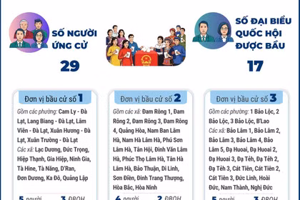 Bầu cử Quốc hội và HĐND: 6 đơn vị bầu cử của tỉnh Lâm Đồng