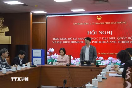 Phó Chủ tịch thường trực Ủy ban Mặt trận Tổ quốc Việt Nam thành phố Hải Phòng Nguyễn Đức Tuấn phát biểu tại hội nghị. (Ảnh: Mạnh Minh/TTXVN)