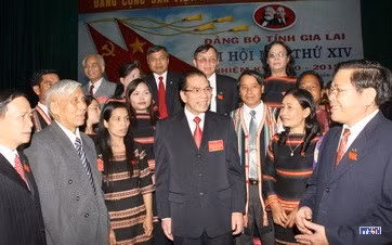 cd107521-resize.jpg