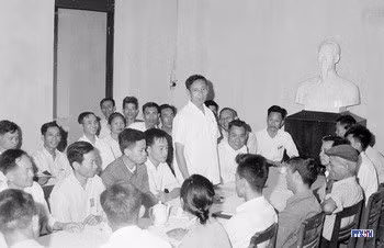 ae3683-resize.jpg