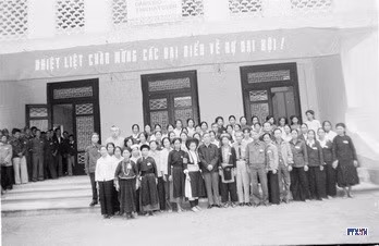 864878-resize.jpg
