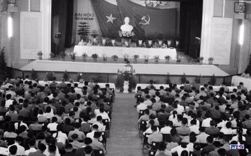 ae3336-resize.jpg