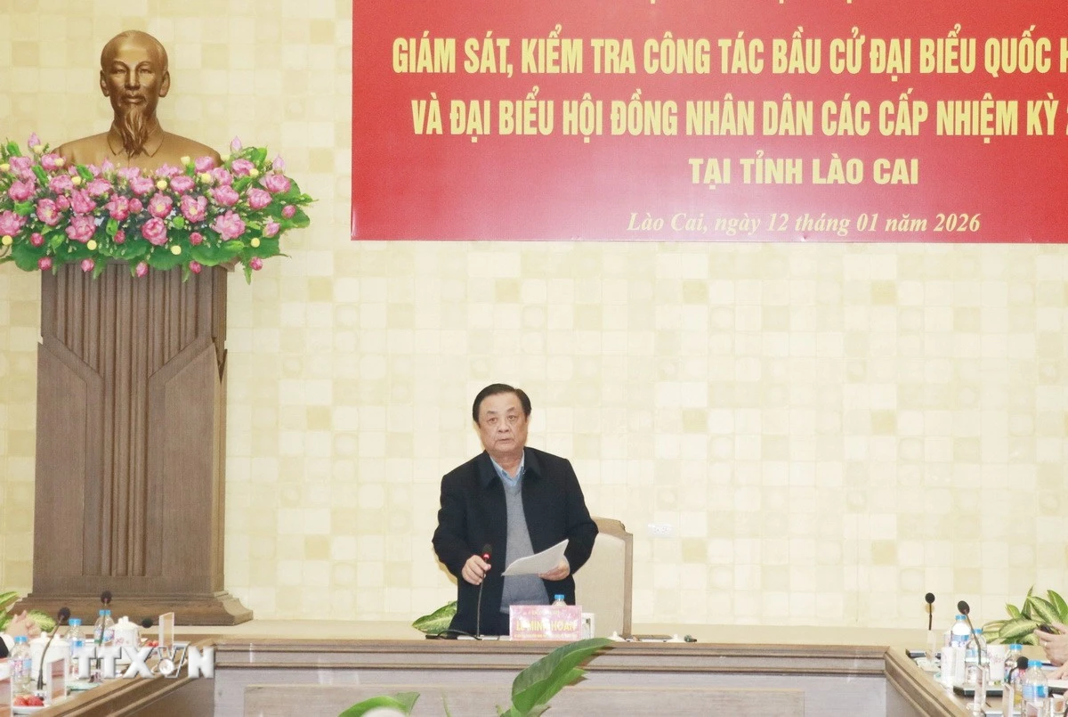 Phó Chủ tịch Quốc hội Lê Minh Hoan phát biểu tại buổi làm việc. (Ảnh: Tuấn Anh/TTXVN)