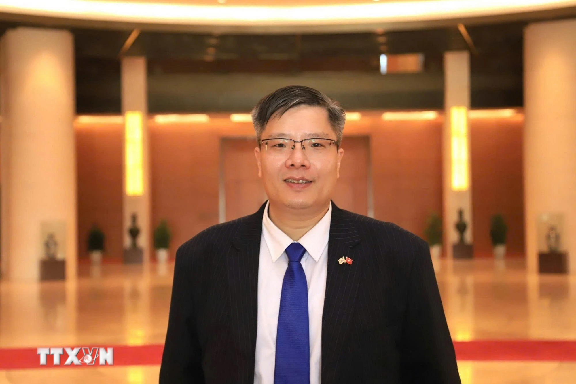 Tiến sỹ Trần Hải Linh, Ủy viên Ủy ban Trung ương Mặt trận Tổ quốc Việt Nam, Chủ tịch Hiệp hội Doanh nhân và Đầu tư Việt Nam-Hàn Quốc, Chủ tịch sáng lập Hội Chuyên gia, Trí thức Việt Nam-Hàn Quốc. (Ảnh: TTXVN phát)