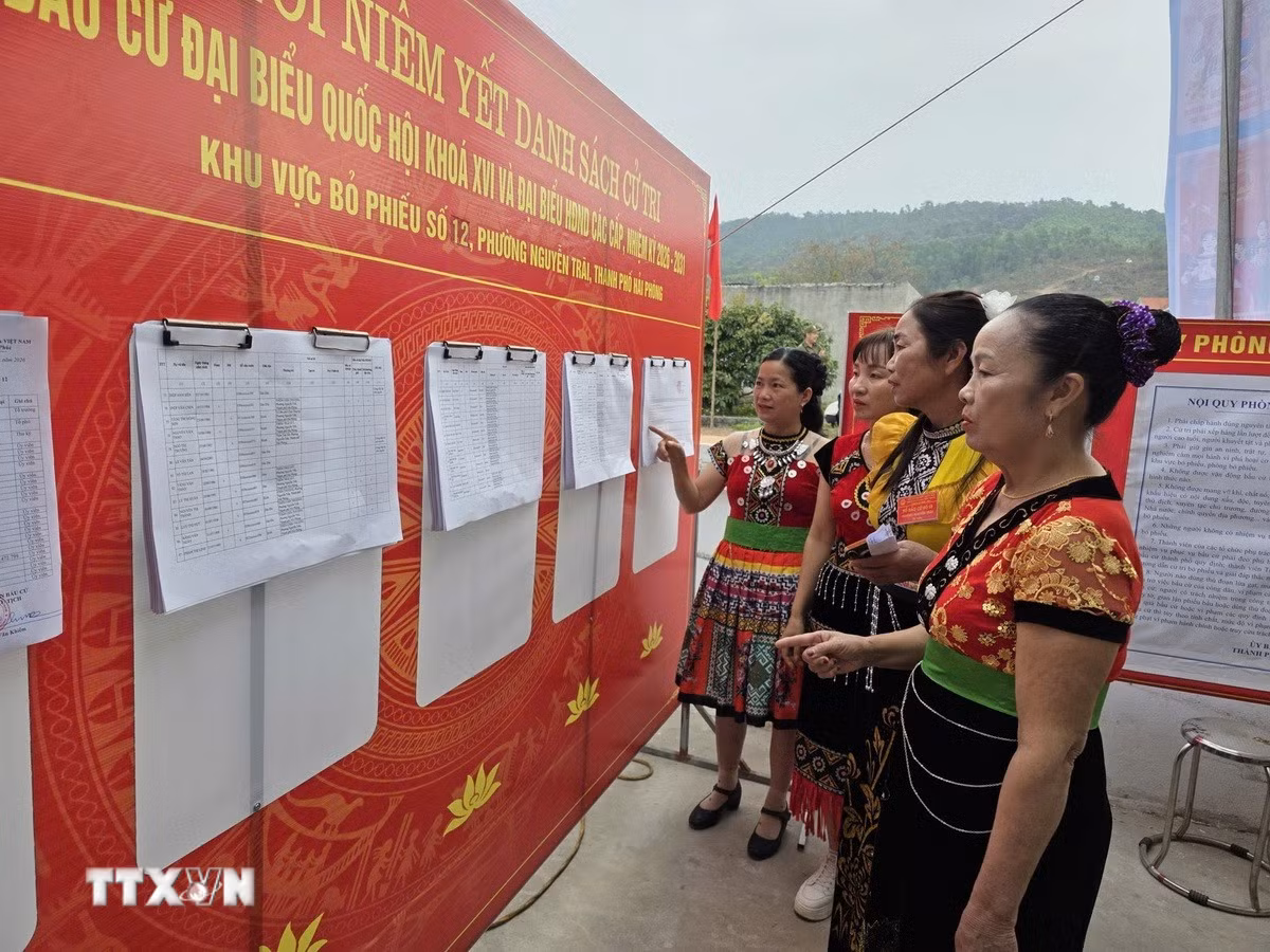 ttxvn-hai-phong-bau-cu4.jpg