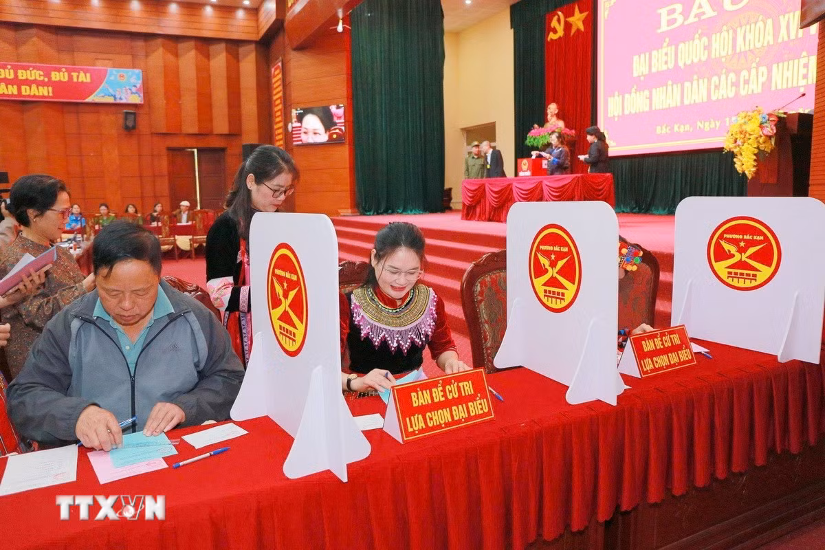 ttxvn-thai-nguyen-bau-cu.jpg