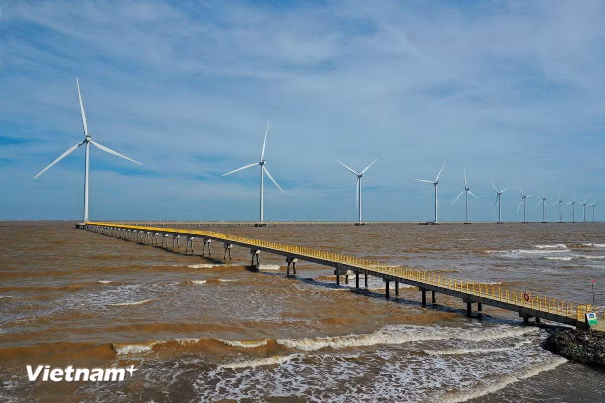 vnp-vinh-long-4.jpg