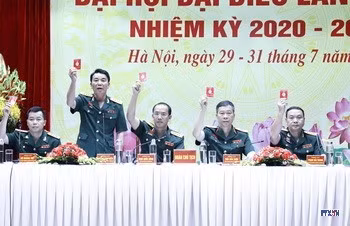 cd208925-resize.jpg
