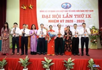 cd206350-resize.jpg