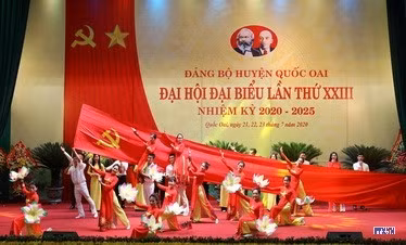 cd206370-resize.jpg