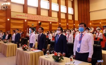 cd207411-resize.jpg