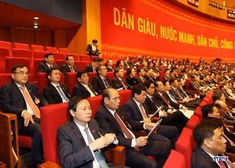 cd215101-resize.jpg