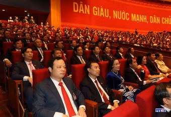 cd215100-resize.jpg
