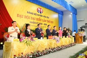 cd204681-resize.jpg