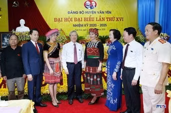 cd204671-resize.jpg
