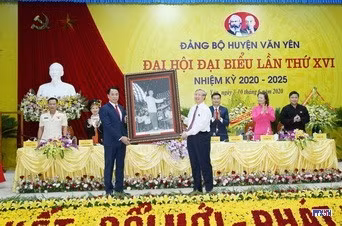 cd204678-resize.jpg