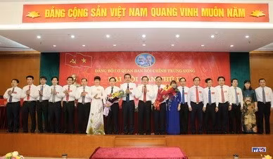 cd204949-resize.jpg