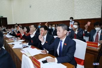 cd208653-resize.jpg