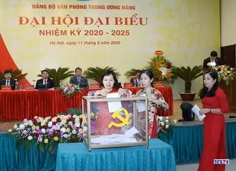 cd208657-resize.jpg