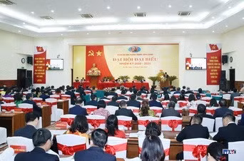 cd208647-resize.jpg