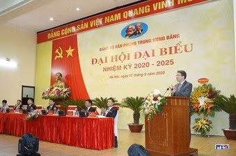 cd208646-resize.jpg