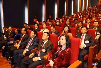 cd214455-resize.jpg