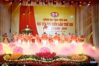 cd208721-resize.jpg