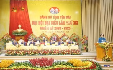 cd208726-resize.jpg