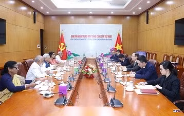 cd237192-resize.jpg