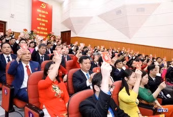 cd203878-resize.jpg